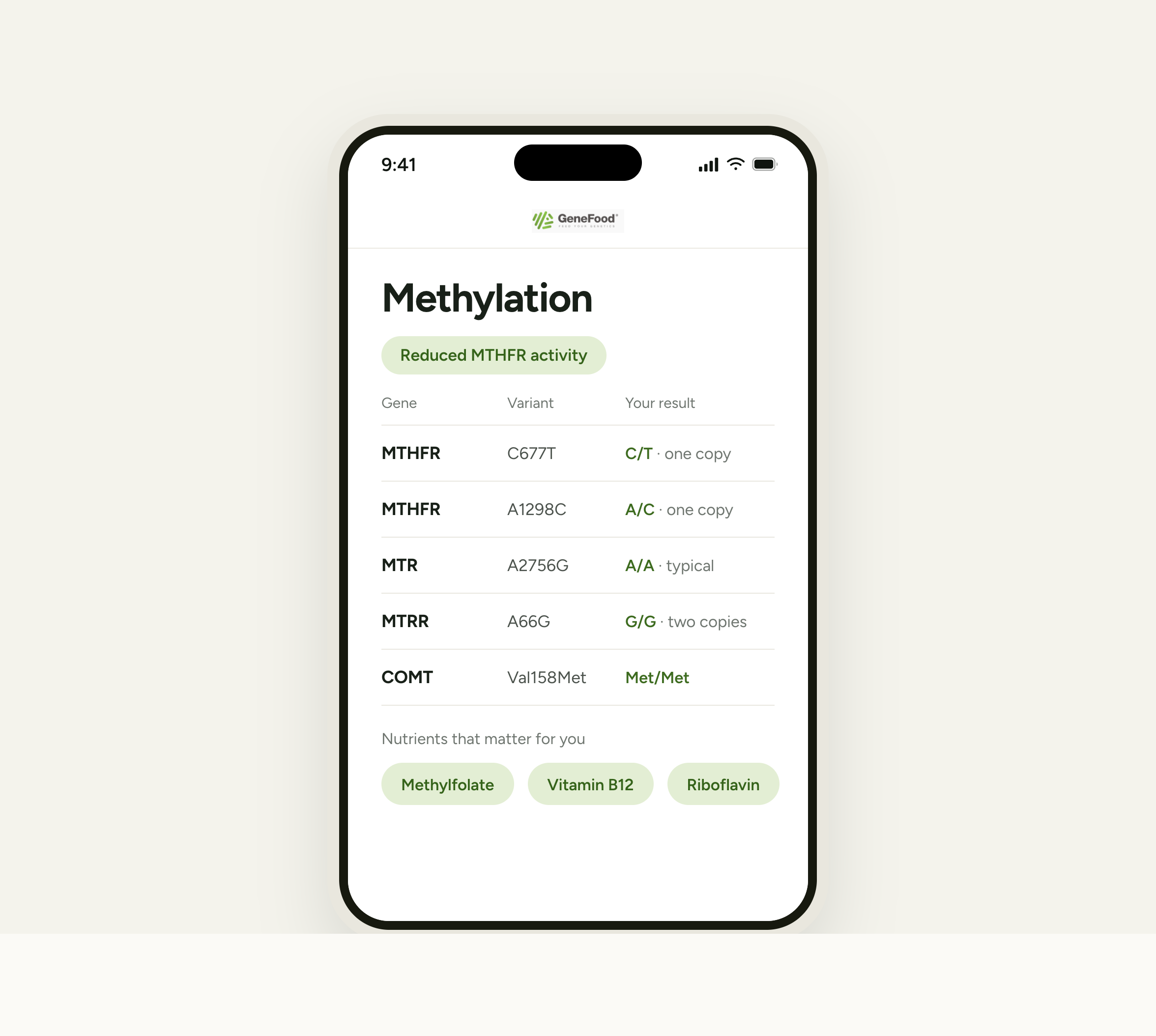 Sample methylation report showing reduced MTHFR activity, MTHFR C677T C/T and A1298C A/C, MTR A/A, MTRR G/G, COMT Met/Met, and relevant nutrients.