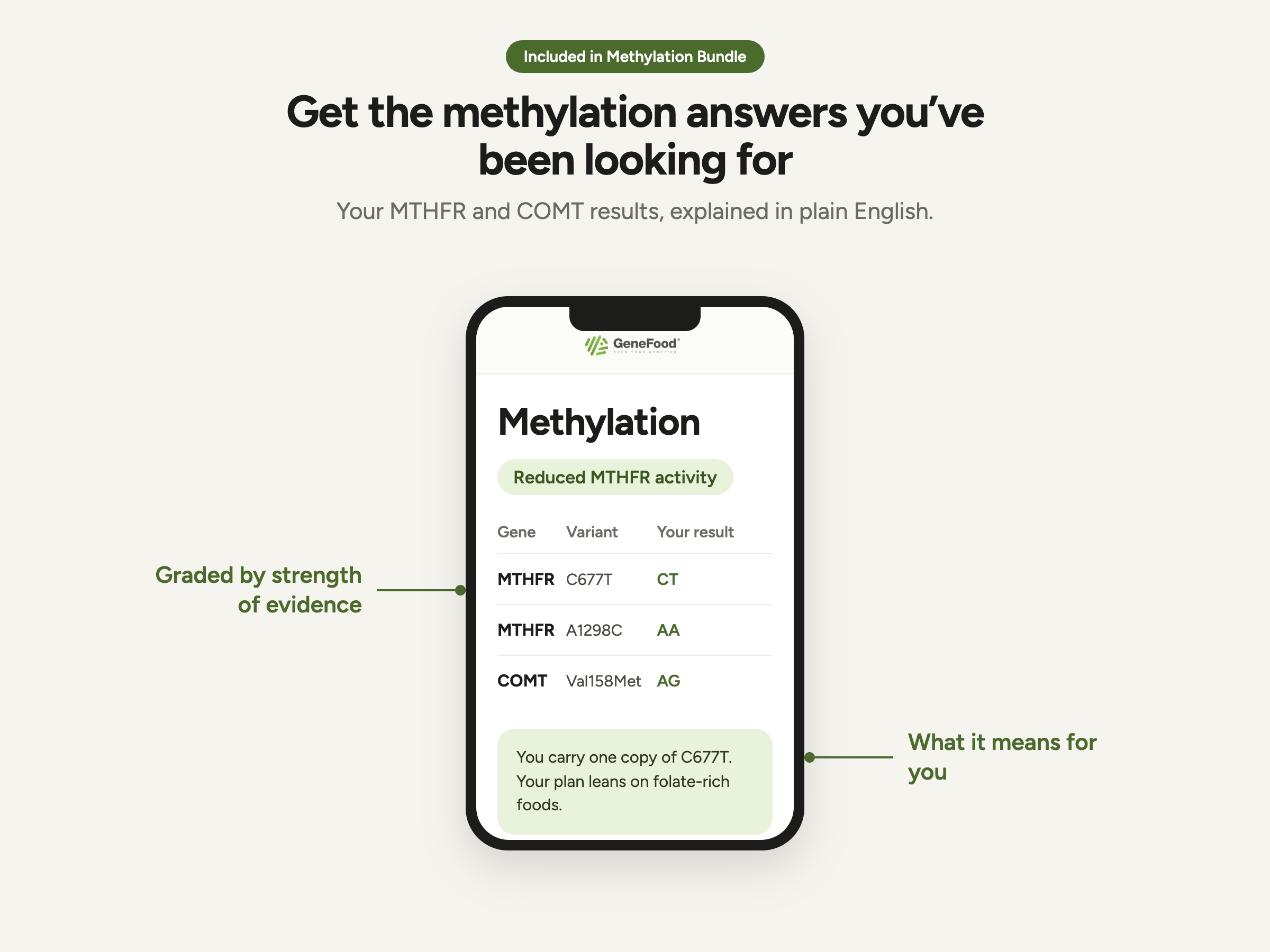 Included in Methylation Bundle. Get the methylation answers you have been looking for. The Gene Food methylation report shown on a phone: a Reduced MTHFR activity status, MTHFR C677T CT, MTHFR A1298C AA and COMT Val158Met AG, and a plain-English summary.