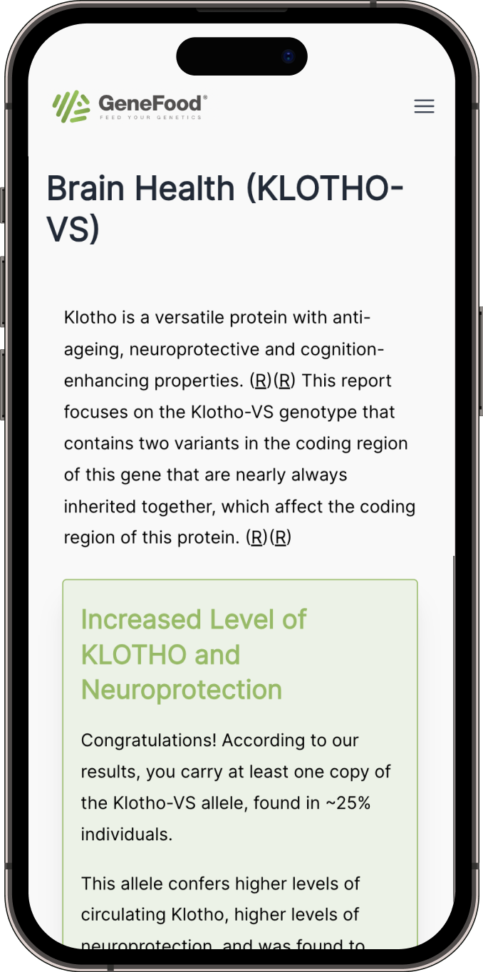 KLOTHO-VS report example