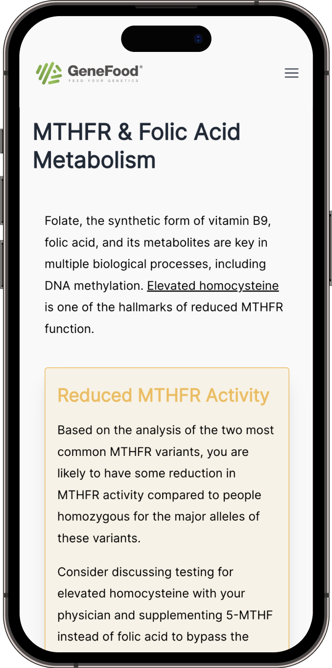 MTHFR and folate metabolism report example